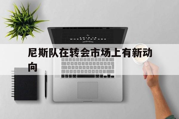 尼斯队在转会市场上有新动向